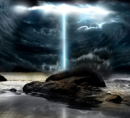 2021궫ľ113ϣ